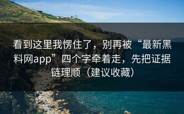看到这里我愣住了，别再被“最新黑料网app”四个字牵着走，先把证据链理顺（建议收藏）